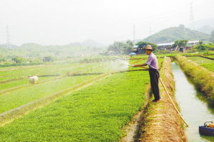 沃爾瑪在塘廈建立東莞首個農超對接基地，新鮮蔬菜直供零售