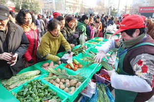 平價惠民，新鮮蔬菜零售助力健康生活